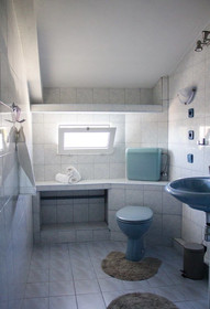 Apartments Ivo