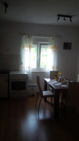Apartments Konta