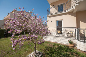 Apartments Marianne