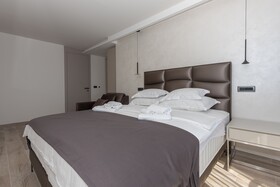 Aurelia 8