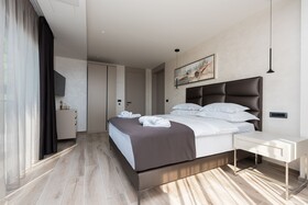 Aurelia 8