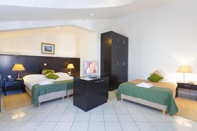 Hotel Milenij