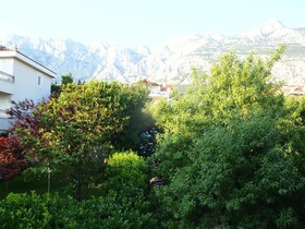 Maritimo