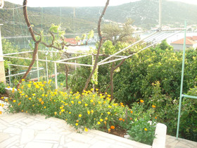 Apartment Frane