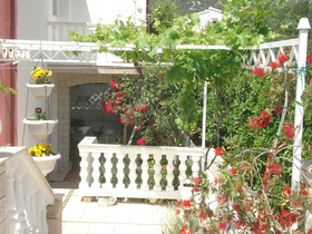 Apartment Frane