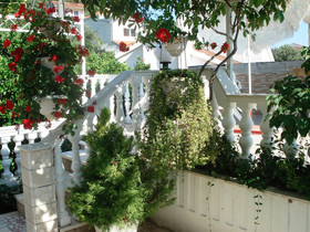 Apartment Frane