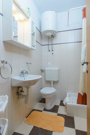 Apartments Anton