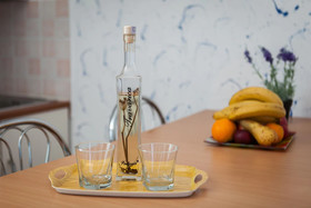 Apartments Branka