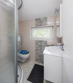 Apartments Branka