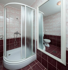 Apartments Branka