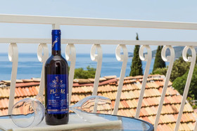 Apartment Dalmatia Blue