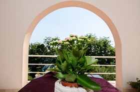 Villa Barbara