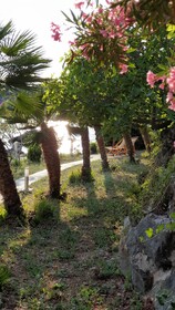 Villa Leonardo