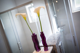Apartments Villa Roza