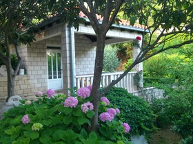 Guesthouse Zeko Rozat