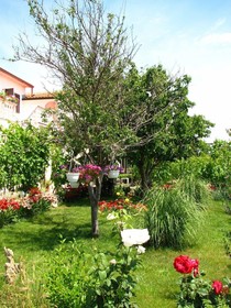 Apartments Nika