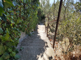 Apartments Aida