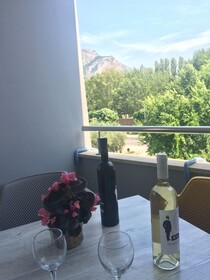 Apartments Ante