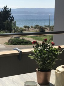 Apartments Ante