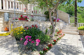 Apartments Neve