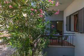 Apartments Ljiljana