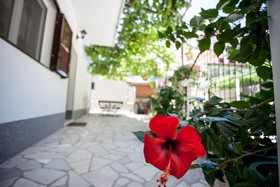 Apartments Mladen