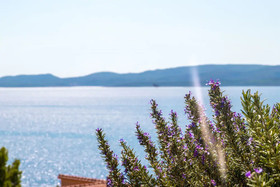 Apartments Petar