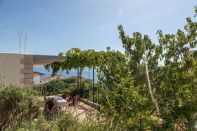 Apartments Petar