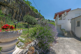 House Ante