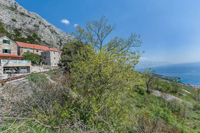House Darijo