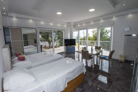 Luxury Apartment Ina