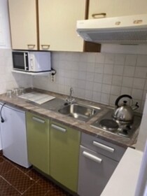 Villa Apartments Babaja