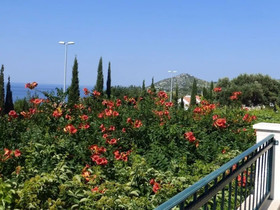 Vila Morska Sirena