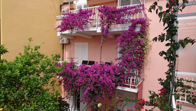 Apartments Jaksa