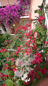Apartments Jaksa