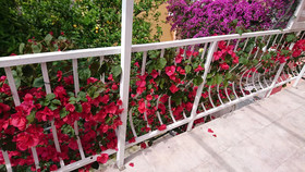 Apartments Jaksa