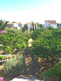 Apartments Tamara