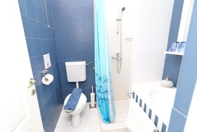 Apartments Trstenica