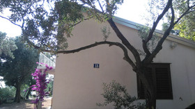 House Zlatko