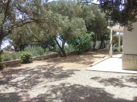 House Zlatko