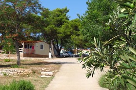 Kamp Miran