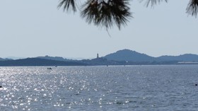 Kamp Miran