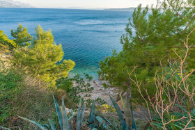 Apartments Ana Maria
