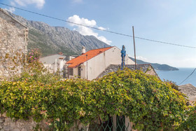 Apartments Sonja