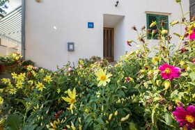 Apartments Tolj