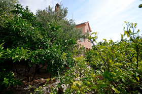 House Miroslav