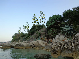 House Vedrana