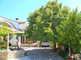 Apartments Dama