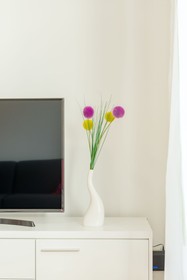 Lct Oleander Apartments
