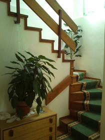 Apartments Villa Velin